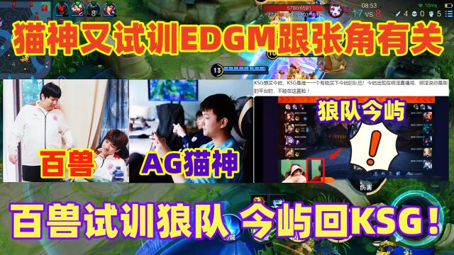 大瓜:百兽试训狼队,猫神又试训EDGM跟张角有关,今屿回KSG!