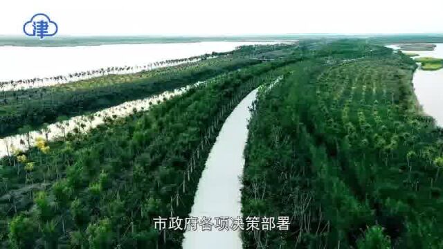 16区在行动 | 津南区区长杨灏:打好“三张好牌” 做实做强“四区” 精心建设“四谷”