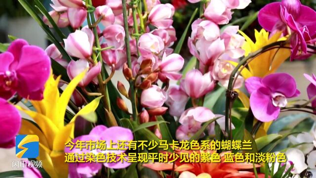 东营:迎新春贺新年 花卉市场购销两旺