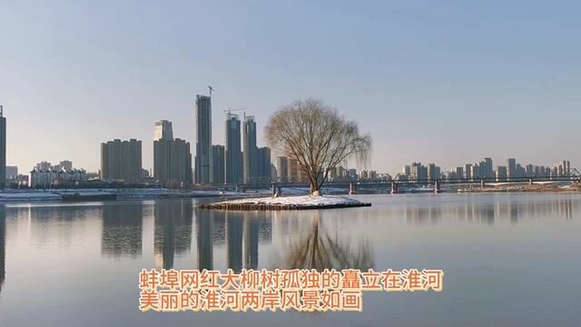 蚌埠最新实拍淮河两岸风景如画!蚌埠的黄浦江越来越美丽 #城市风光 #城市风景 #城市风景一角