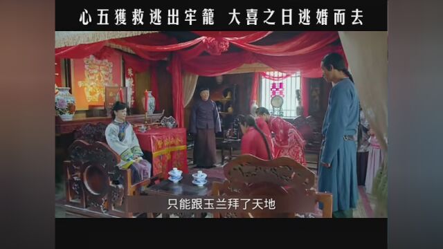 第8集|心五获救逃出牢笼 大喜之日逃婚而去 #杜心五传奇