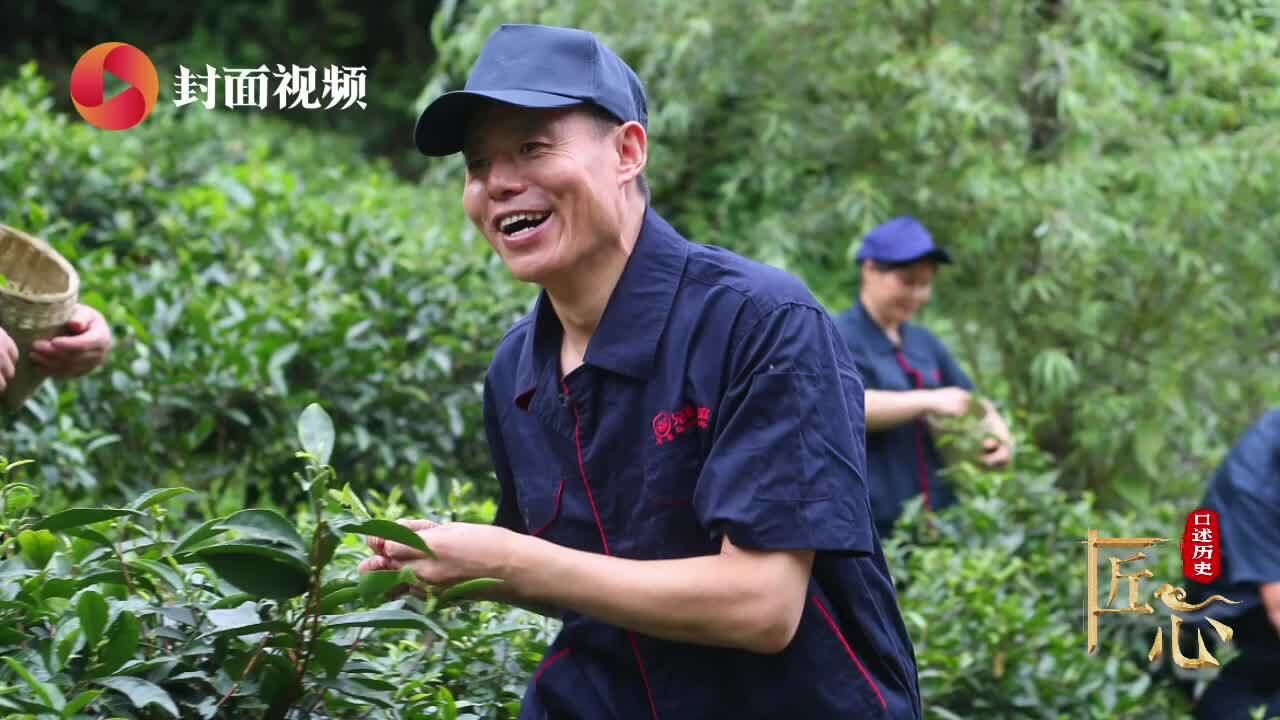 匠心|甘玉祥的茶与道②:拒绝照本宣科,是雅安黑茶的生存之道