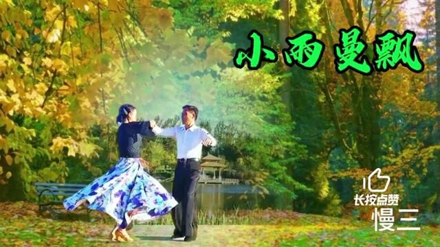 优美的慢三交谊舞《小雨曼飘》 #双人舞蹈