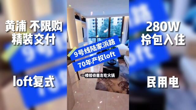 黄浦 Loft复式 民水电 类住宅 内环内 精装现房