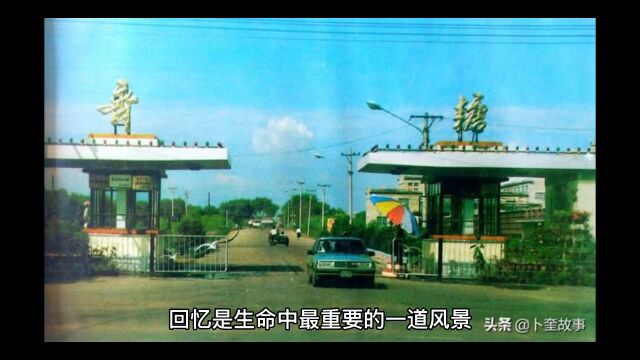 全国山河一片红,我们是见证人,用切身感受再现文革