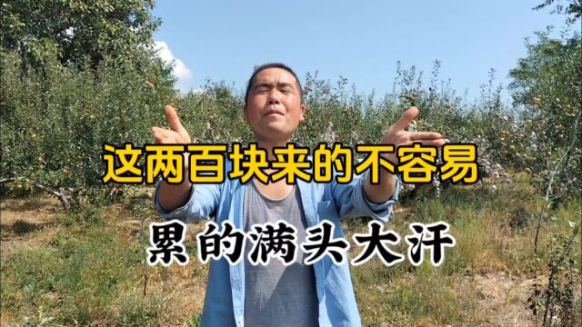 这两百块来的不容易,累的满头大汗