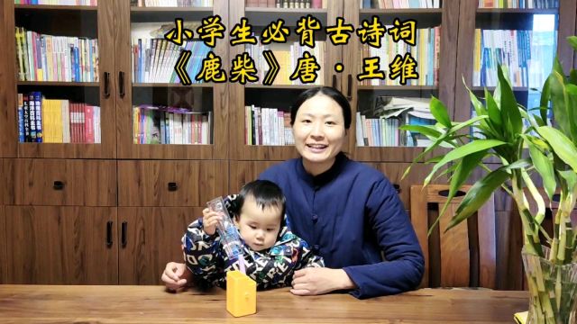 小学生必背古诗词《鹿柴》