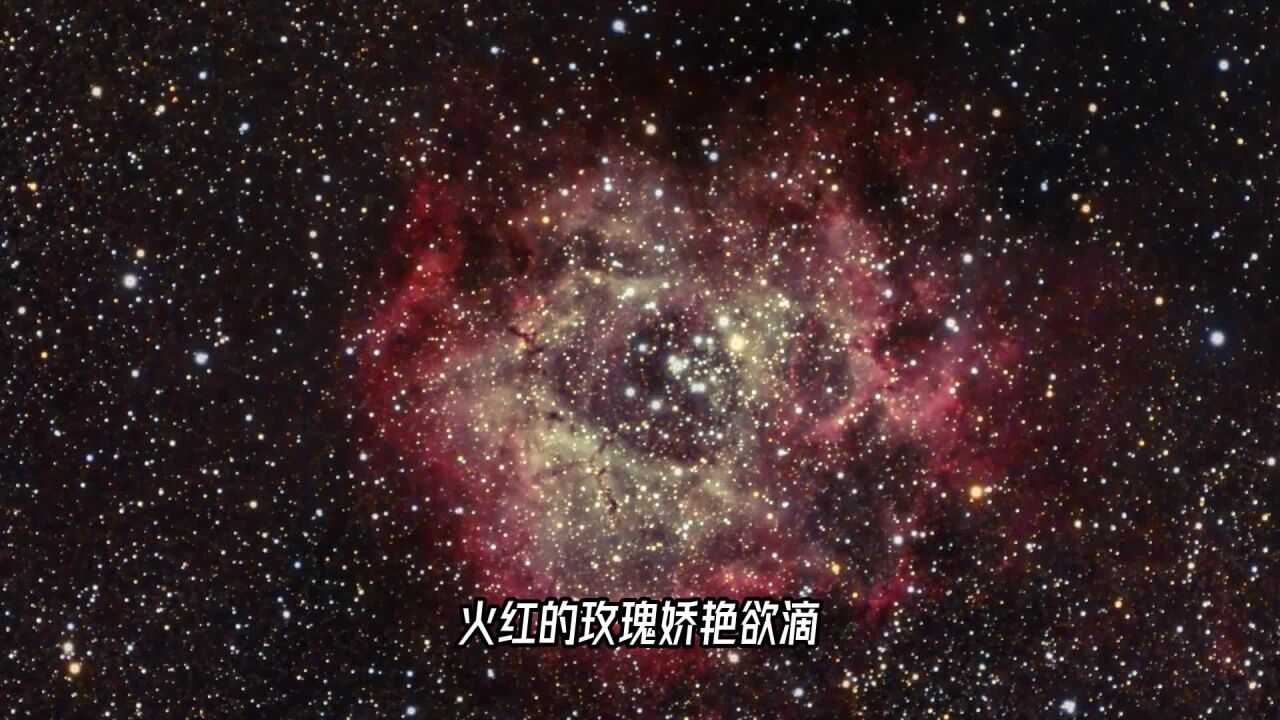 情人节送你宇宙级的浪漫:来自外太空的玫瑰星云