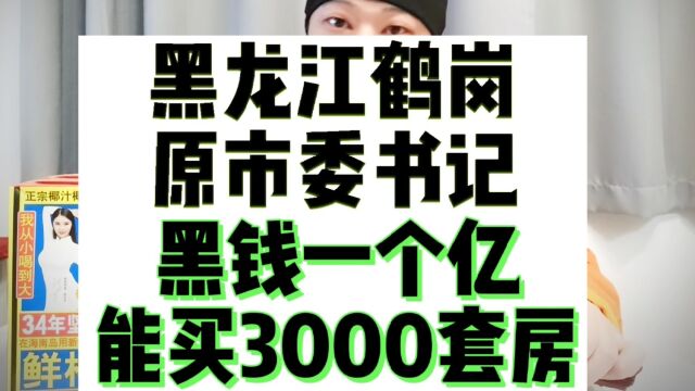 黑龙江鹤岗市原市委书记张恩亮占用黑钱一个亿,一个亿能在鹤岗买3000套房子.