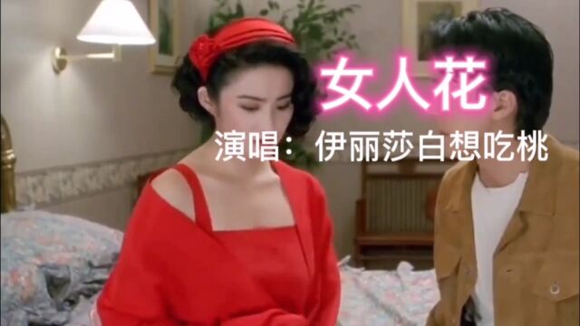 港圈巅峰音乐分享——女人花