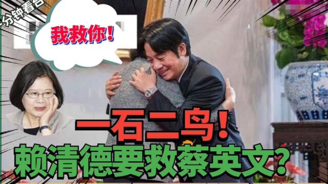 赖清德救蔡英文?处理民进党论文争议挨轰,谎言难掩“台独”本性