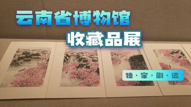 云南省博物馆收藏品展