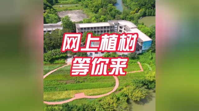 快来认养树木!广东省级“互联网+全民义务植树”基地公布