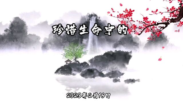 2023年2月16日珍惜生命中的