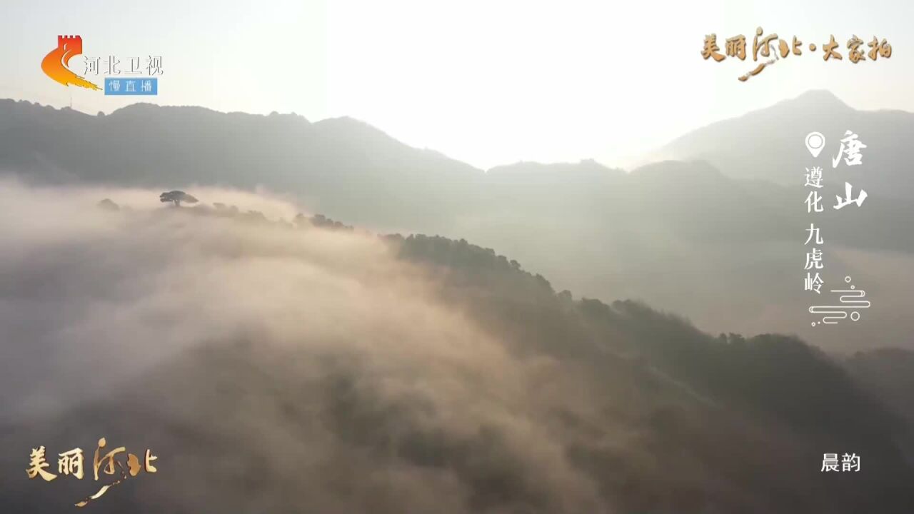 美丽河北大家拍丨唐山遵化 九虎岭