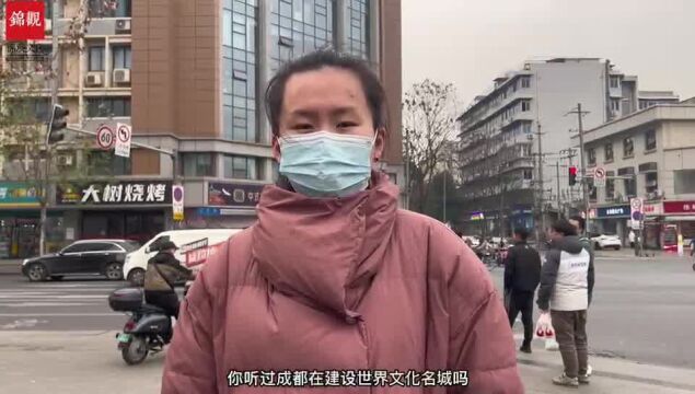 市民举手提问①丨成都还有哪些文化资源值得挖掘?市政协委员雷玉华这样建议