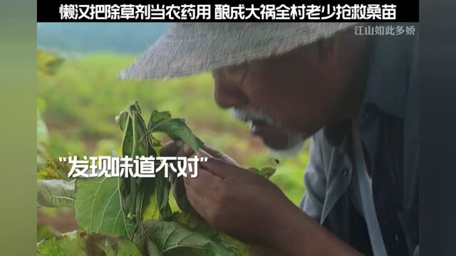 江山如此多娇