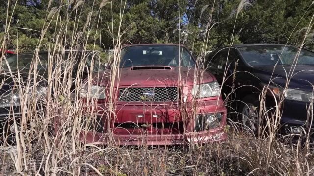 The abandoned Sports & JDM cars of the Fukushima Exclusion Zone