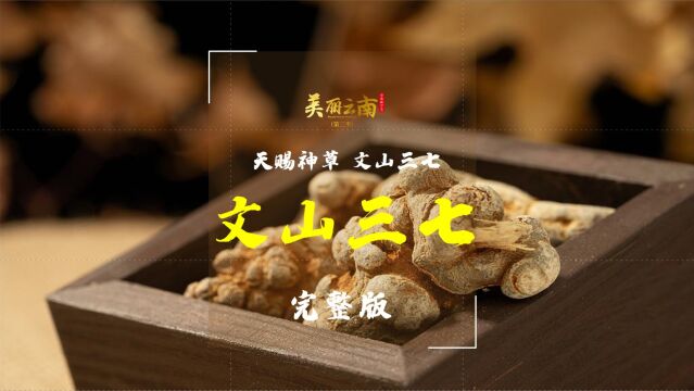 天赐神草 文山三七——云药:文山三七(完整版)|《美丽云南》(第三季)