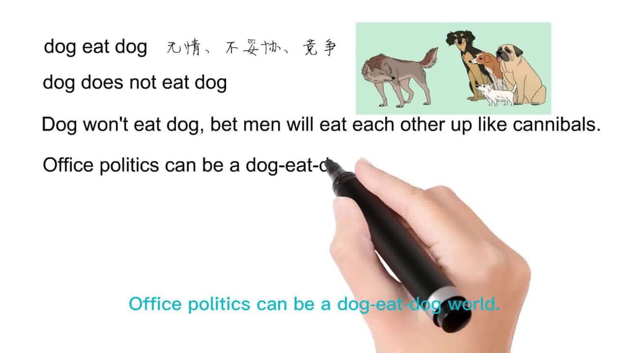 英语思维解密,为什么dog eat dog表示激烈竞争,轻松学英语