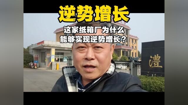 这家纸箱厂为什么能实现逆势增长?#纸箱包装 #工厂实拍视频