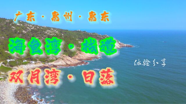 惠东海龟湾,参观海龟保护基地,码头市场购买海鲜