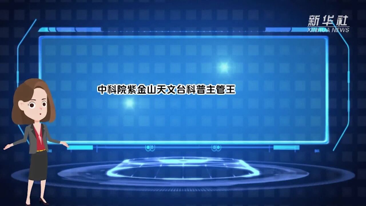 3月10日迎来“兔年兔月兔日兔时”