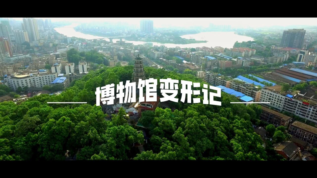 探馆记 | 对话博物馆:机遇与挑战