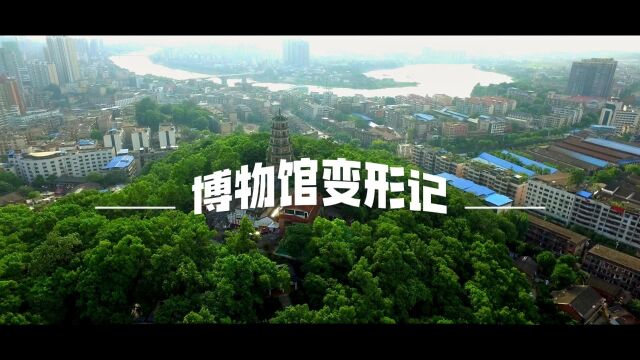 探馆记 | 对话博物馆:机遇与挑战