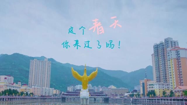 第26集|这个春天,你来过了吗!#治愈系风景 #镜头记录美好瞬间 #凤县#H2023 #热爱生活