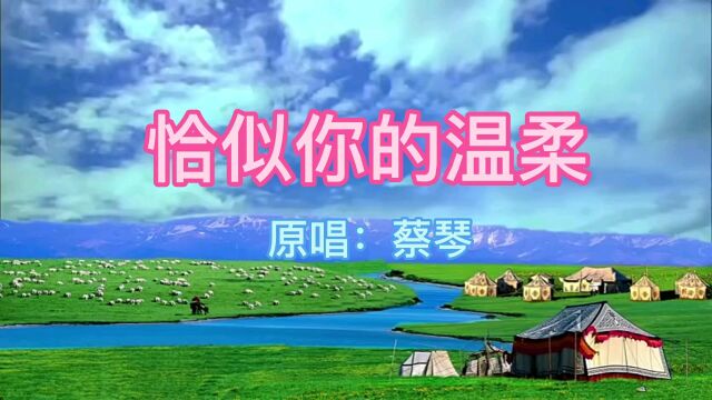 经典好歌100首之蔡琴《恰似你的温柔》