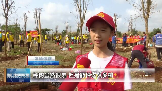 海口:开展春季义务植树活动 打造人与自然和谐共生的美好家园