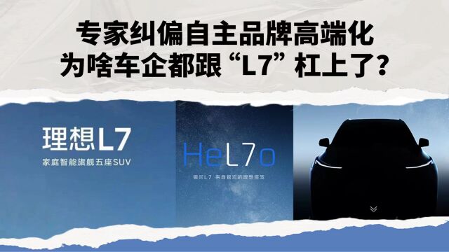 专家纠偏自主品牌高端化 为啥车企都跟“L7”杠上了?