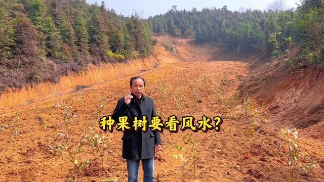 种果树真的需要看“风水”,要结合种类品种、水源、土壤、地形地势、气候等条件,综合考虑,才能做到适地栽培!#水果种植 #气候