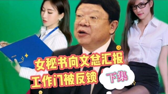 女秘书向文总汇报工作门被繁琐(下)