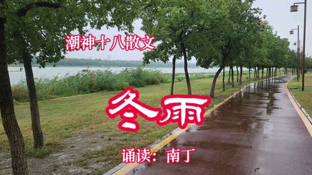 潮神十八散文《冬雨》诵读:南丁