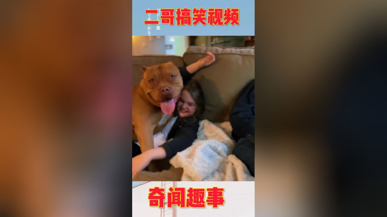 二哥搞笑视频