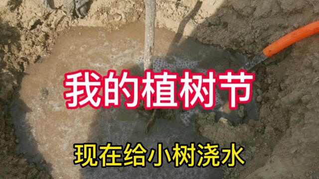 从接触果树到管理果树有20年了,也经历了太多困难,你们都经历了什么呢