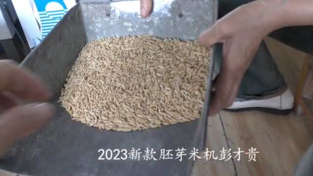 2023胚芽米机