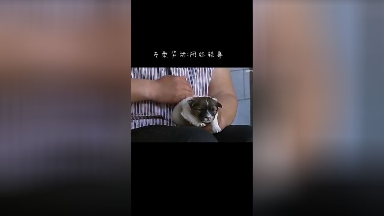 万荣闷娃 笑死人啦