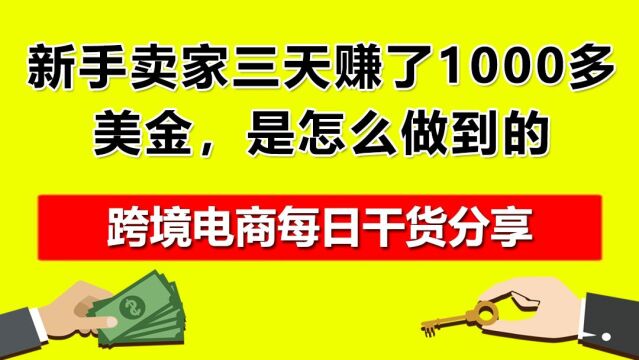 3.新手卖家三天赚了1000多美金,是怎么做到的