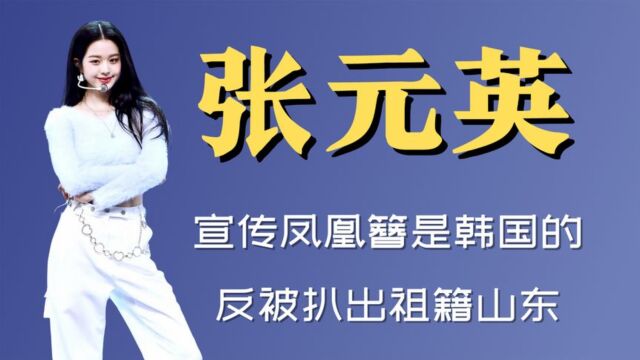 渔记:张元英遭中韩网友抵制,宣传凤凰簪是韩国的,反被扒出祖籍山东!