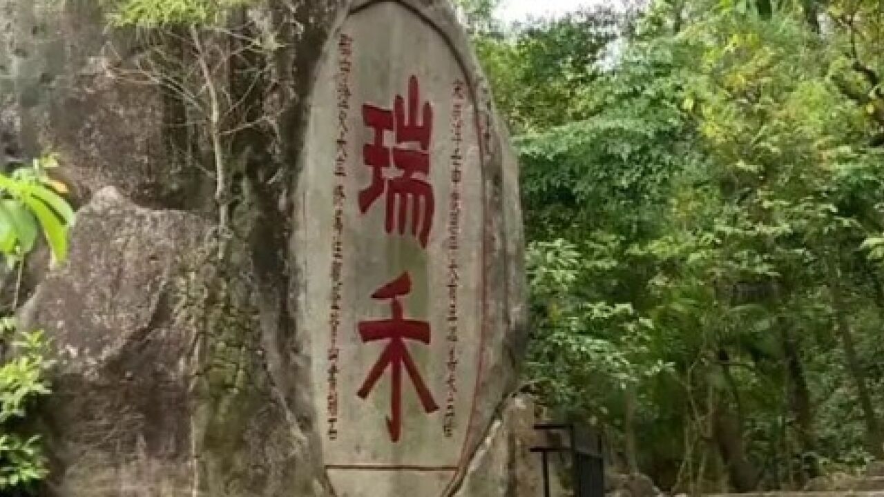 闲步750年历史古迹,打卡阳江北山公园!北山石塔春意闹