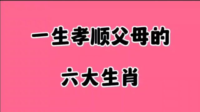 孝顺父母的六大生肖,看看有你吗