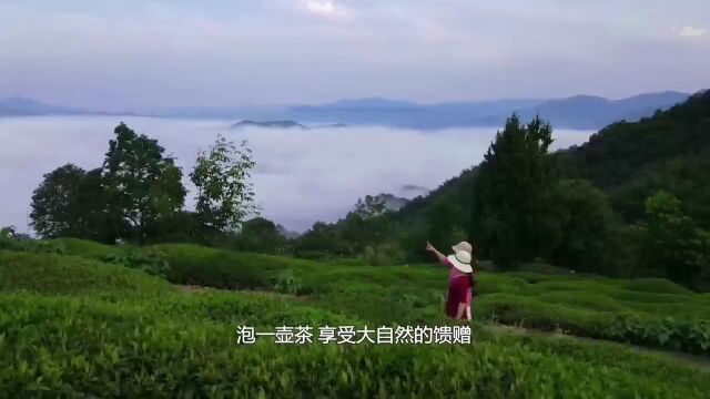 预告 | 本周日,2023中国黄山油菜花摄影旅游季暨“湖光山色 状元休宁”新安江源头绿色发展全国摄影大展即将启动