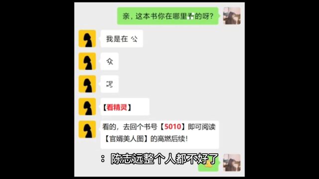 《官婿美人图》陈志远小说全集在线阅读