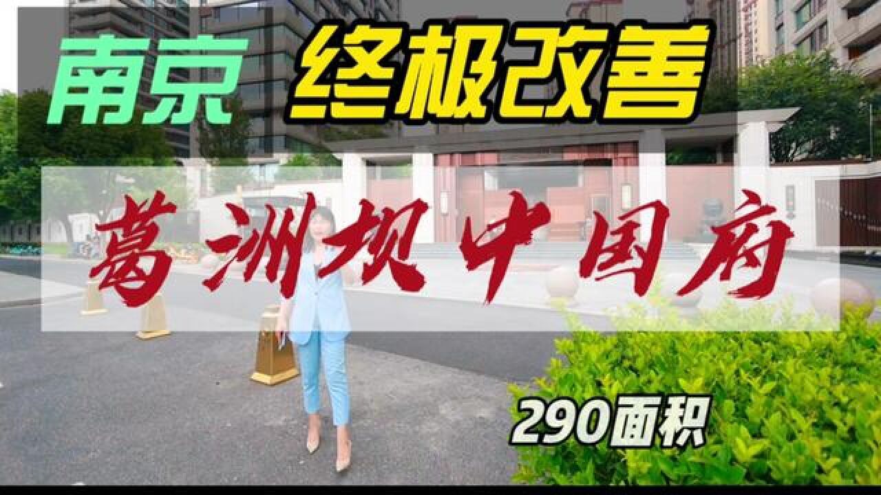 南京终极改善290平葛洲坝中国府#大平层 #终极改善 #南京买房 #南京楼市 #金秋心动购房季