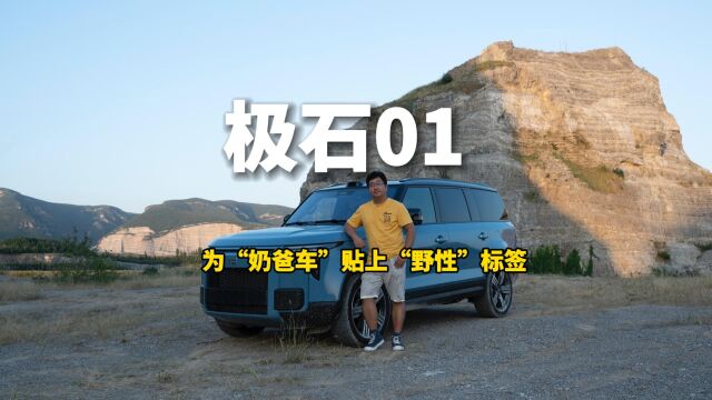 极石01,为“奶爸车”贴上“野性”标签丨智驾开箱