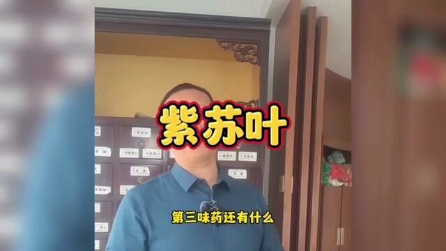 紫苏叶#传承中医文化 #伤寒论 #全民学中药 #识百草 #自学中医