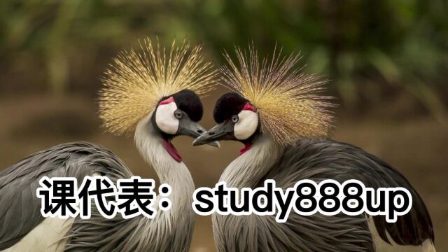 老男孩Linux85期\/(study888up)